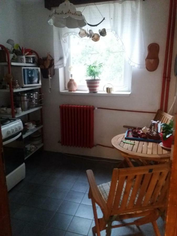 Apartament Anca Timişoara Exterior foto